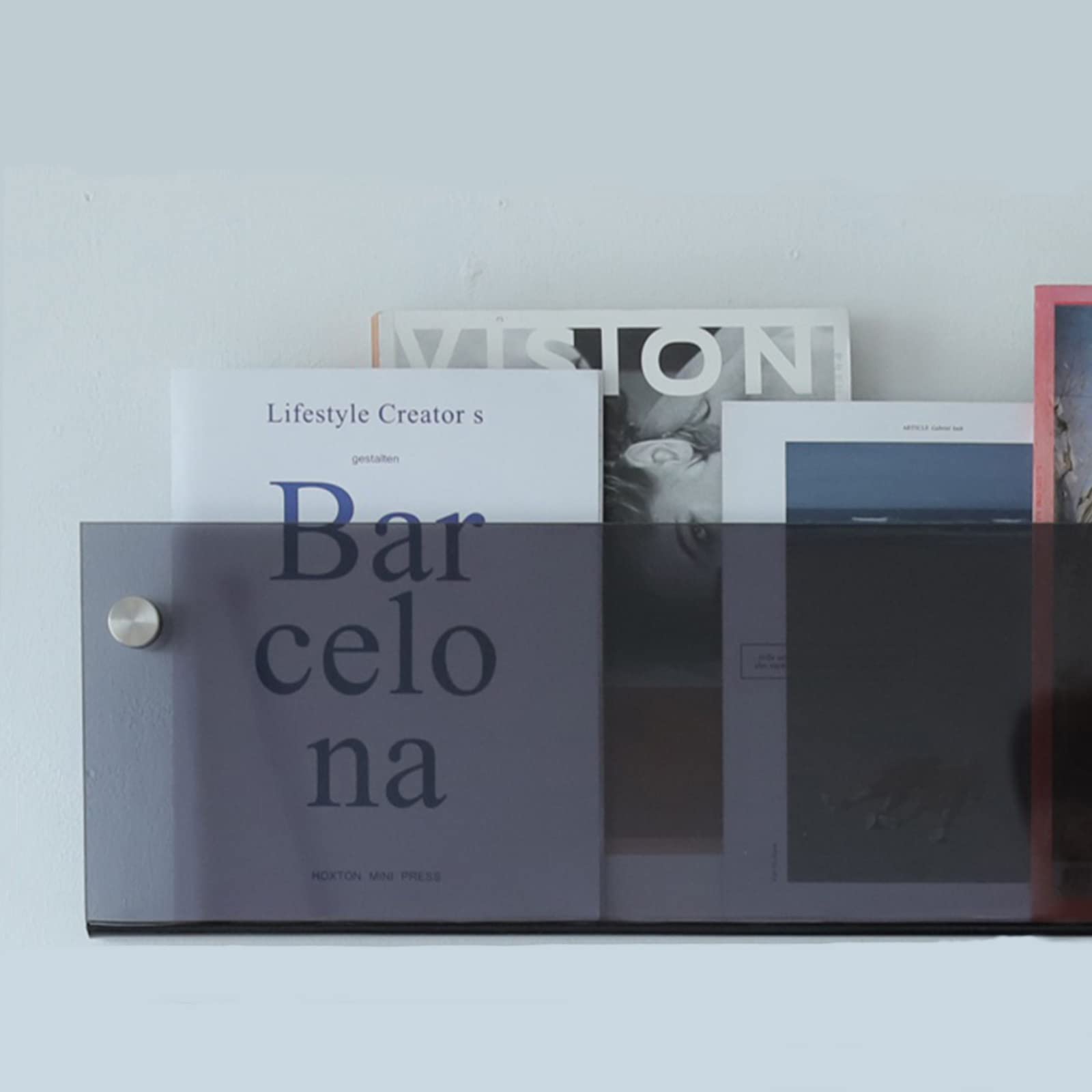 ROYALITA 2-Pack Acrylic Magazine Holder Brochure Holder, 24" Record Holder Magazine Rack, Fashion Hanging Bookshelf Literature Storage Rack for