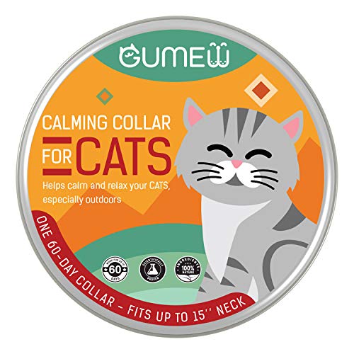 WINSEE Dog Bowl, Pet Food Bowls for Feeding Dogs Cats Puppies