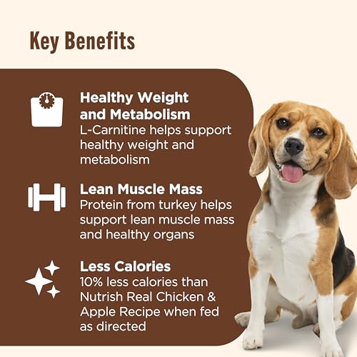 Image of Nutrish Rachael Ray Weight Management Wet Dog Food Premium Pate Real Turkey & Pumpkin Recipe,13 oz. Can,(Pack of 24)