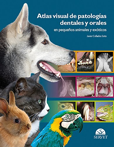 Atlas visual de patologías dentales y orales en pequeños animales y exóticos - Libros de veterina Atlas visual de patologías dentales y orales en pequeños animales y exóticos - Libros de veterina