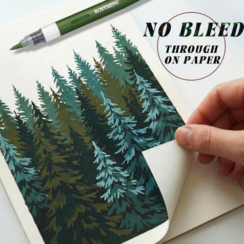Image of ROSYMENG Green Blue Art Markers: 36 Colors Acrylic Paint Pen Set with Soft Brush Tip, Straight Liquid Quick-Dry Design, Drawing Supplies for Adult Coloring Books, Rock, Wood, Glass, Fabric