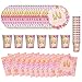 BlinBlin Pink Princess Party Vajilla, Princess Party Decorations Vajilla, Platos, Tazas, Servilletas, 20 Invitados Party Supplies
