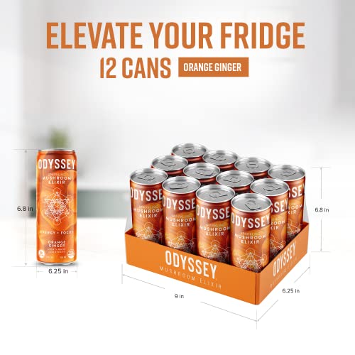Odyssey Elixir - Sparkling Energy Mushroom Drink - Lions Mane & Cordyceps - Mental Focus & Stress Relief - Mushroom Coffee Alternative - Organic Caffeine - Adaptogens - Orange Ginger - 12Oz / 12 Pack #TOP6