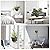 Vanslogreen 8 Inch Hanging Planters for Indoor Outdoor Plants, 2 Pack Self Watering Hanging Pot with Drainage Holes & Removable Tray Hanging Baskets Flower Pots for Garden Home (Black)