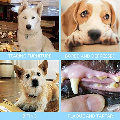 MyfatBOSS Unkaputtbares Hundespielzeug Set – 5 Stück Quietschende Plüschtiere, Unzerstörbares Hundespielzeug für Kleine und Große Hunde, Kuscheltier für Hunde, Inklusive Tierhaarentferner für Wäsche