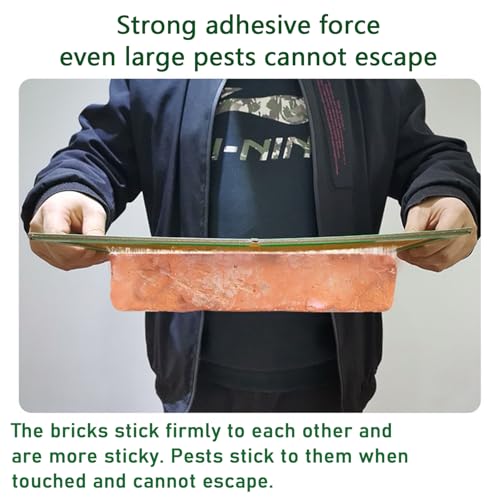 Image of 6 Pack Pest Trap Boards, Large Strong Sticky Pads for Multiple Pests, Glue Trap Pads for Indoor Outdoor Home Kitchen Garden