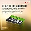 PNY 128GB Premier-X Class 10 U3 V30 microSDXC Flash Memory Card - 100MB/s, A1, 4K UHD, Full HD, UHS-I, micro SD