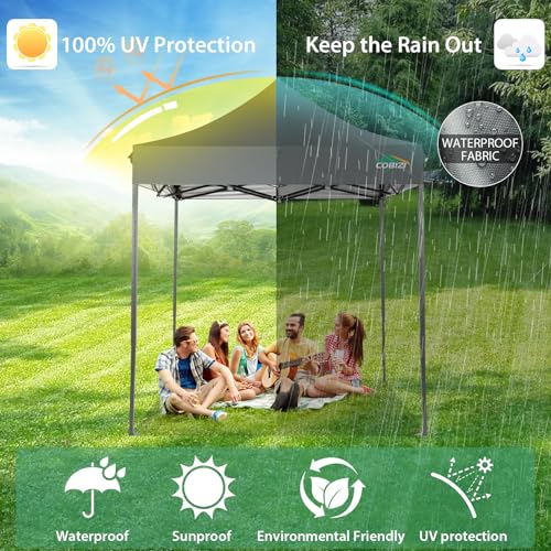 Image of COBIZI 6.6x6.6 Pop Up Canopy Tent No Sidewalls,Heavy Duty Canopy,Gray