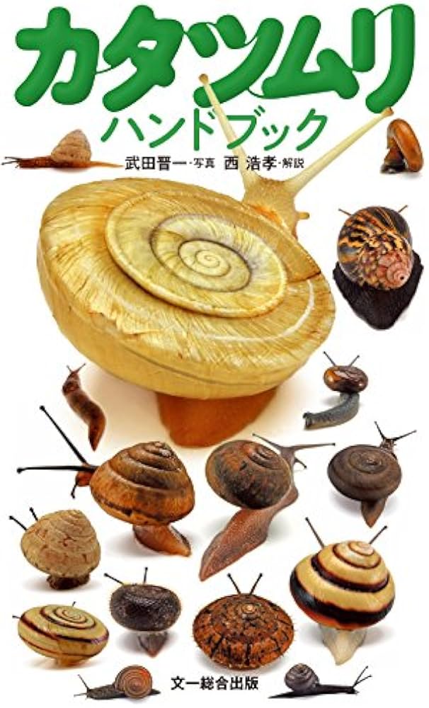 Amazon.co.jp: カタツムリハンドブック : 西 浩孝, 武田 晋一 Amazon.co.jp: カタツムリハンドブック : 西 浩孝, 武田 晋一