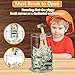 Totola Clear and Unopenable Piggy Bank, Transparent Money Box for Cash Savings, Must-Break-to-Open Acrylic Coin Bank Change Jar for Real Money, Birthday Gifts for Kids & Adults (Cylindricity, Medium)