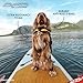 EzyDog Schwimmweste Hund - DFD Hundeschwimmweste - Schwimmwesten für für Kleine, Mittelgroße und Große Hunde - Rettungsweste mit Griff und Reflektoren, Größenverstellbar (XL, Rot)