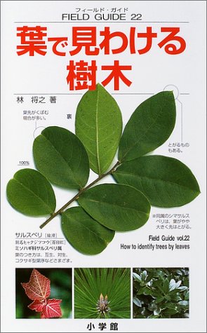 葉で見わける樹木 フィールド ガイド 林 将之 和田 浩志 本 通販 Amazon