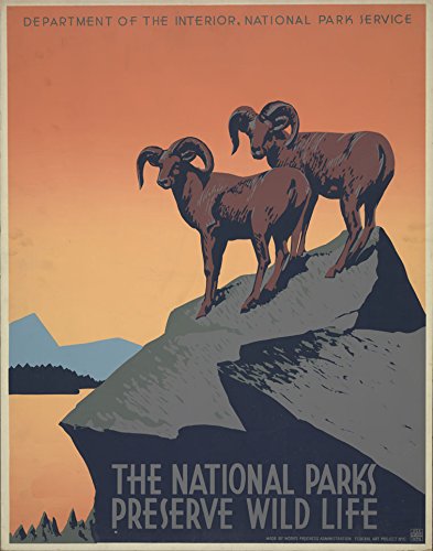 Poster Vintage National Parks en bois pour remplacer les affiches papier