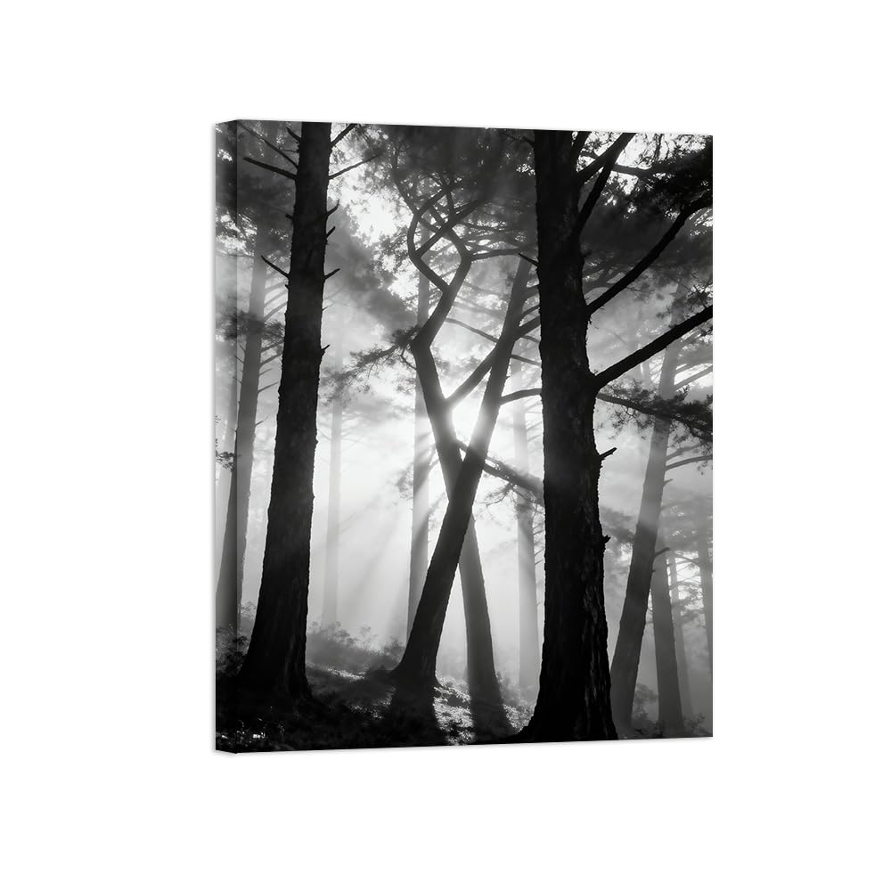 OZPWBVY Black and White Landscape Print Painting-Tree Sunshine-Minimalist Canvas Wall Art Picture for Home Ready to Hang 24x31in 60x80cm Wrapped Canvas