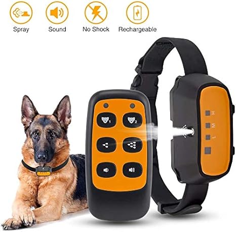 collare elettrico per l'addestramento dei cani