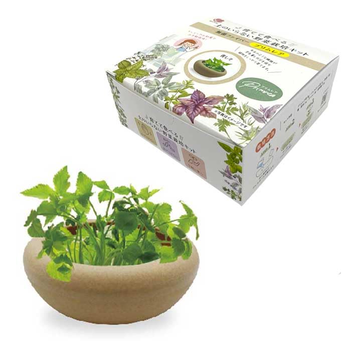 Amazon｜プリムレア 野菜 栽培キット 4号鉢 浅鉢 土いらず 手が