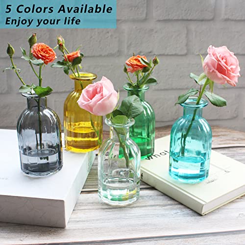 Hanihua 3 Sets Clear Glass Vase For Flowers Small Bud Vase For Decor, Bud Vases In Bulk For Centerpieces, Home Decorative Vase Set Round Vintage Glass Bottles,2.85"X 5.4" #TOP3