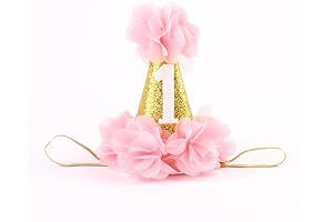 1st Pet Birthday Cone Hat; Pink, Adjustable Headband, Flower Accessories