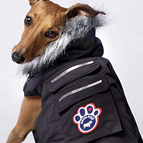 Canada Pooch | Everest Explorer Dog Jacket | Hooded Winter Dog Coat, Black, 16 (15-17\" Back Length) - Thumbnail 6