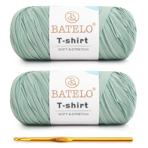 Image of 2 Pack T-Shirt Yarn for Beginner Crochet Bags /Basket /Coaster, 400g /144yds High Elastic Thick Polyester Fabric (Willow Green)