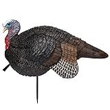 Primos Hunting Lil Gobstopper Jake Turkey Decoy Light-Weight Hunting Decoy 69074, Multi
