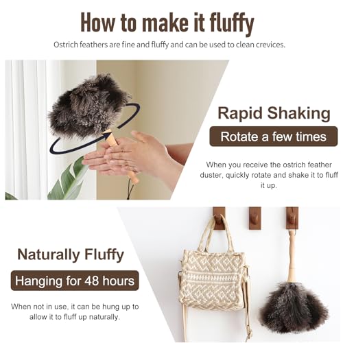 Image of Ostrich Feather Duster 12 Inch Handheld Duster Supplies, Wooden Handle Feather Duster for Cleaning Keyboard Home Car Office (Natural)