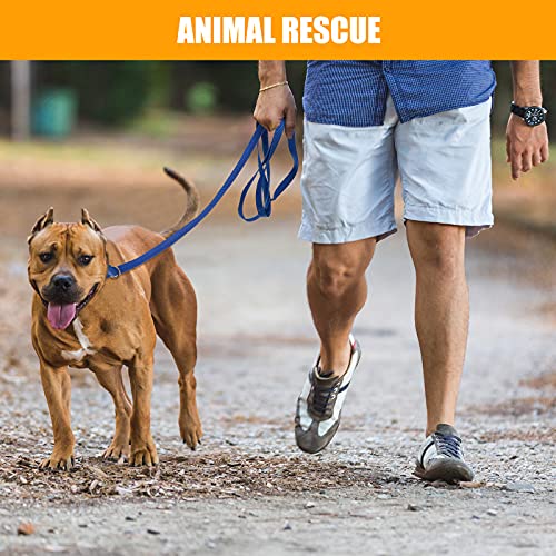 Nuanchu 60 Pieces Puppy Slip Leash Pet Pulling Leashes With O-Ring For Puppy Pet Animal Control Grooming Shelter Rescues Walking Training Doggy Daycare #TOP5