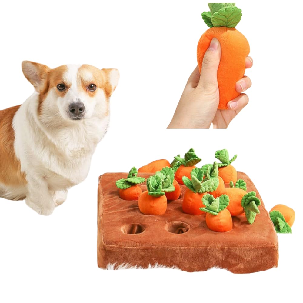 Amazon | ペット 犬 おもちゃ にんじん畑 犬 猫 知育玩具 ノーズワーク