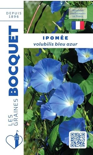 Sachet de graines de Ipomée volubilis bleu azur - 3 g - LES GRAINES BOCQUET