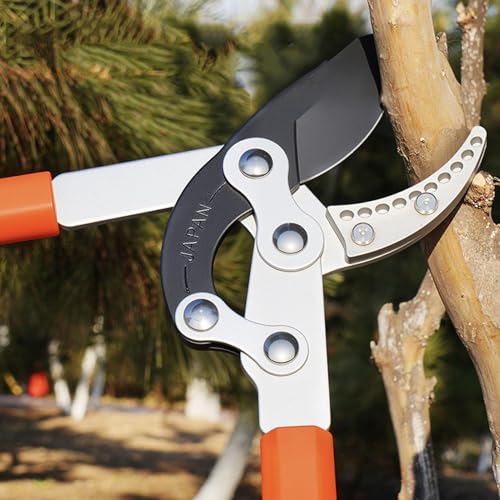 Cisailles de jardin avec poignées antidérapantes pour coupe de précision - 3