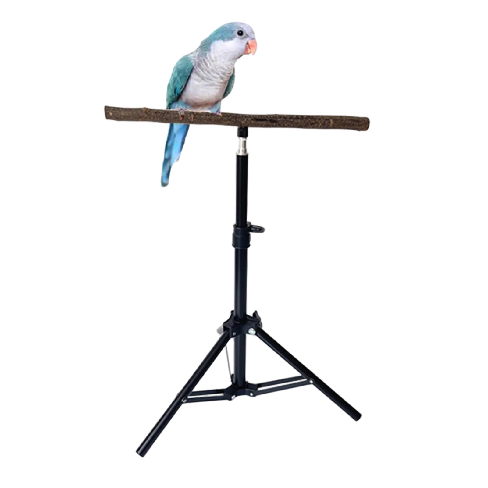 Adjustable Bird Play Stand, Folding Tripod Base Structure, Habitat Perch Strong Stability, Pet Activity Equipment Lightweight Design, Training Accessory Category Item Versatile Setup, Indoor