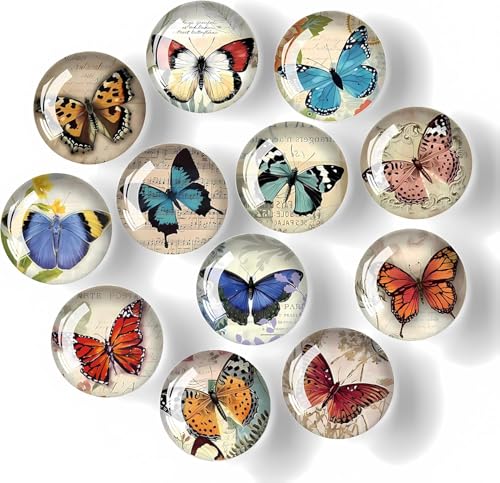 12 imanes decorativos de vidrio para refrigerador mariposa redondos