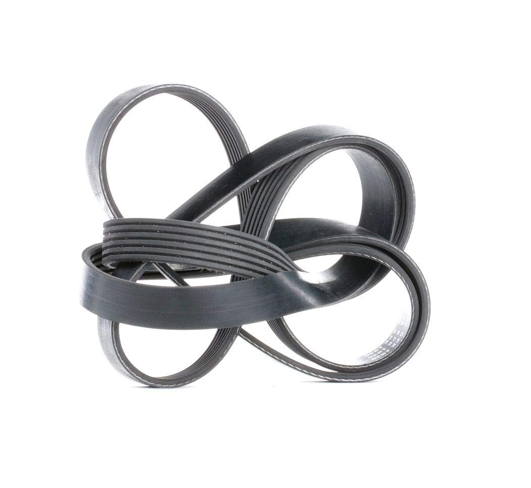 Correa Trapecial Poli V Bosch 1 987 946 005-image