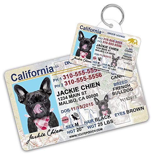 California Driver License Custom Dog Tag for Pets and Wallet Card - Personalized Pet ID Tags - Dog Tags for Dogs - Dog ID Tag - Personalized Dog ID Tags - Cat ID Tags - Pet ID Tags for Cats
