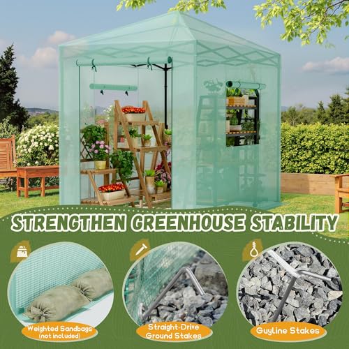 Devoko Walk-in Greenhouse, Instant Pop Up Green House for Outdoors with Zippered Door and 2 Roll-up Windows, PE Cover, Portable and Easy Assemble (Green, 8x6 Feet) - Image 5