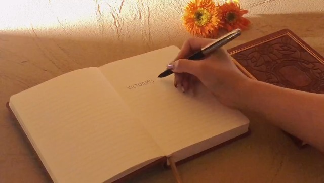 Amazon.com : VICTORIA'S JOURNALS Leatherette Vintage Journal