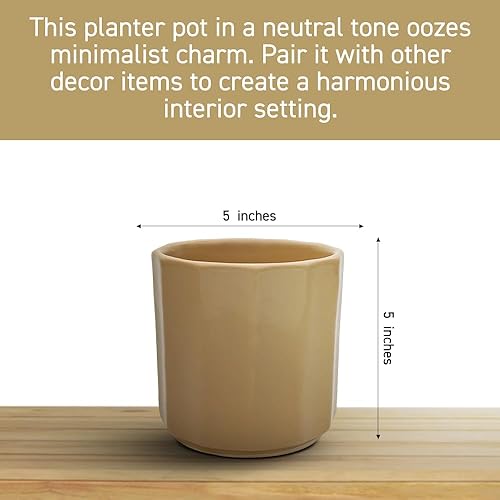 Miniatura 4 de Perilla Home Maceta individual de cerámica hecha a mano para interiores y exteriores con orificio de drenaje para decoración del hogar y la oficina,