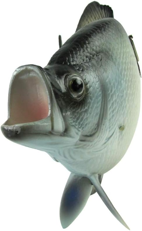 TG,LLC Treasure Gurus Realistic Freshwater Black Crappie 15" Fish Resin Plaque Wall Mount Trophy Taxidermy