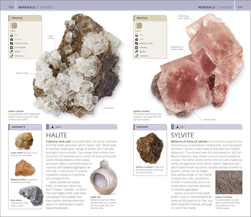 Dk ILLUSTRATED Nature Guide: Rocks And Minerals: The World In Your Hands thumb #4