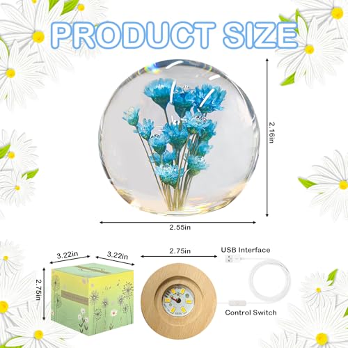 Image of Blue Daisy Lamp,2.4-Inch Flower Crystal Ball Night Light, Real Daisy Inside with Wood Base, Warm Bedroom Glow (Blue Daisy)