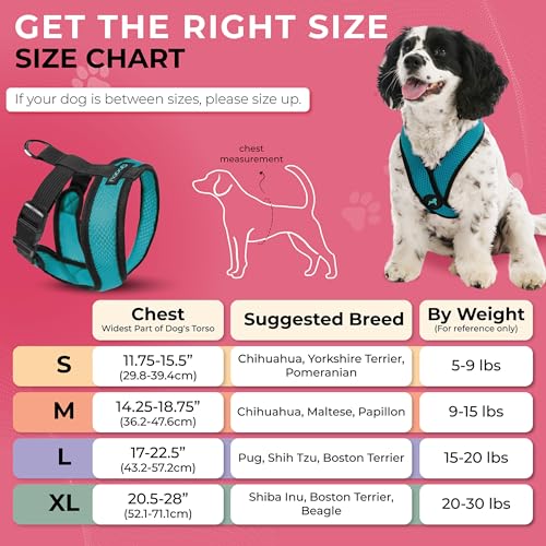 Image of Gooby Comfort X Head-in Dog Harness, Choke-Free, Turquoise, X-Large