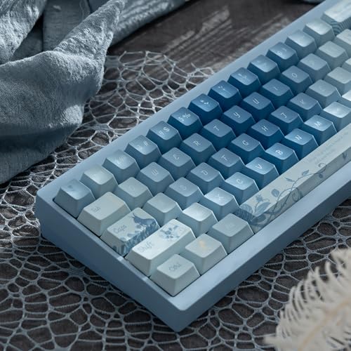 キーボード BOXXX KEYCAP THINK_D.azureus BOXXX KEYCAP THINK_D.azureus