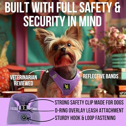 EcoBark Premium Quality Step in Dog Harness - Teacup Dog Harnesses - Perfect Puppy Harness - Luxury Soft Mesh Step in Vest - No Pull Mini Body Halter - Toy Breed Harnesses (XXXS, Lavender) - Image 3