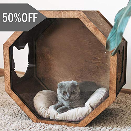 cat toys and beds