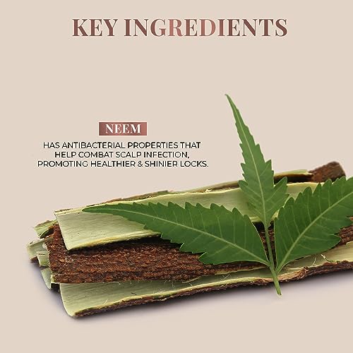 Just Herbs Handmade Wooden Neem Comb for Hair Growth and Hairfall Control for Men & Women - Image 7