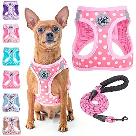 BEAUTYZOO Floral Dog Harness & Leash Set Cover