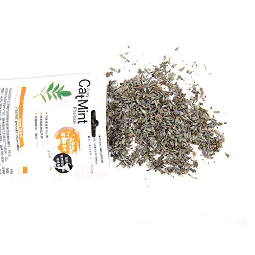 Cats Mint Treats Poudre de soin naturelle sélectionnée pour les feuilles Poudre naturelle de menthe pour chats 0 lits pour chats d'intérieur réchauffement – Image 6