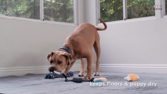 ZICOTO The Ultimate Easy to Clean XXL Puppy Whelping Pad 72"x72" - Our Washable Super Absorption Pee Pad is Perfect for Your Whelping Box Or Exercise Playpen- The Durable Non Slip Floor Mat for Dogs - Image 7