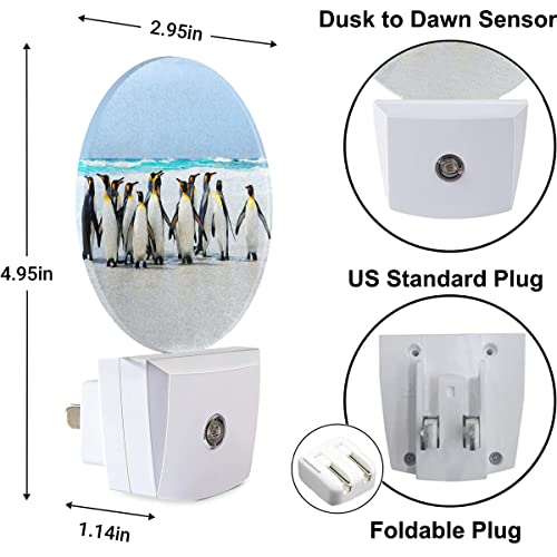 Image of King Penguins Nightlight Antarctic Penguin Cute Animal LED Dusk to Dawn Plug-in Nightlight Auto Sensor for Bedroom Bathroom Hallway Living Room