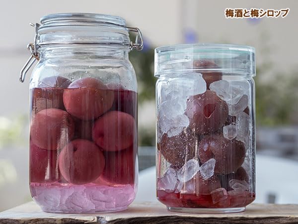 つゆあかね 果樹 約1.5m 露茜 Amazon.co.jp: ウメ（梅）：露茜（つゆあかね）4～5号ポット[ピンクの